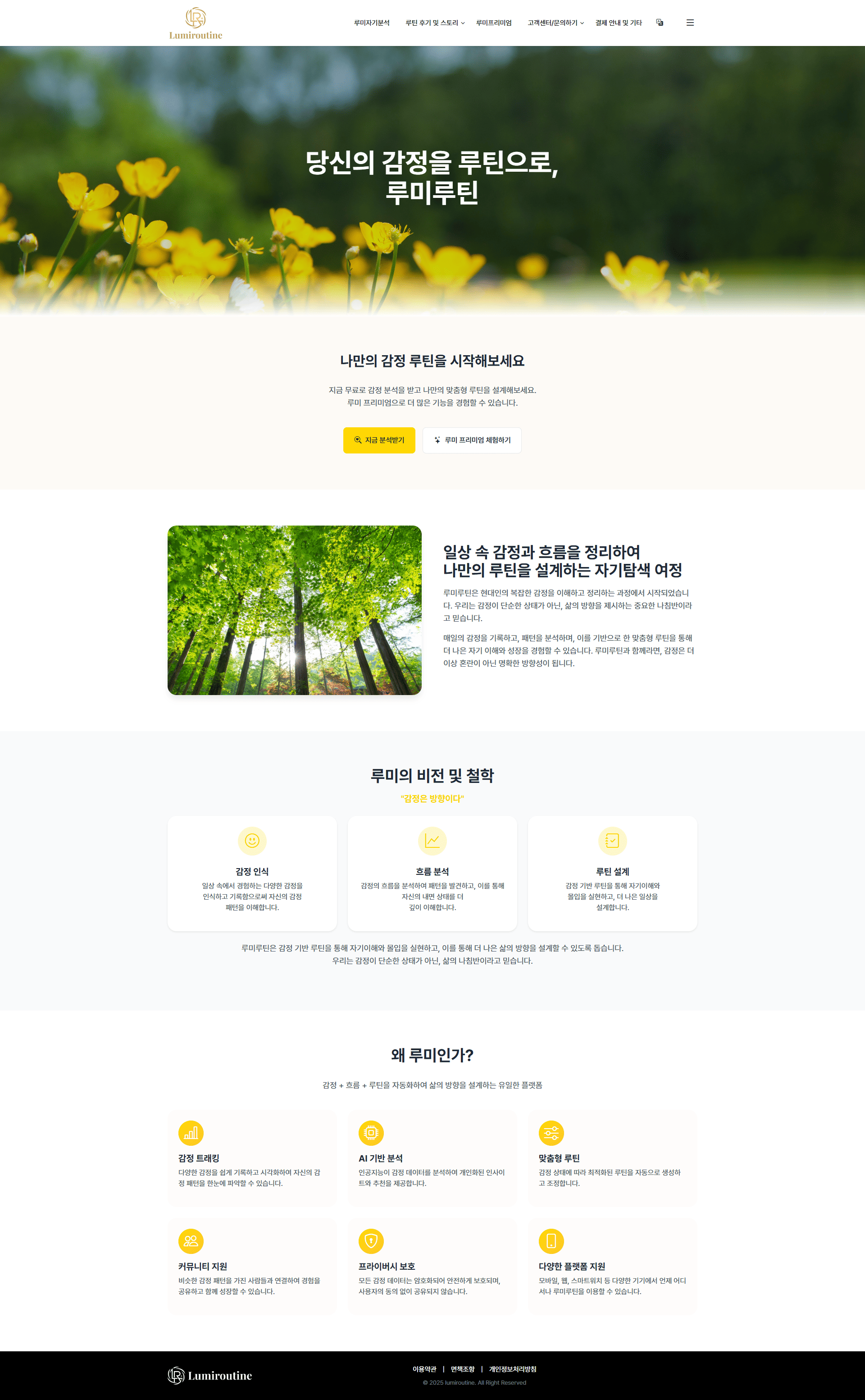 portfolio_pc_루미루틴